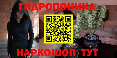 spice Вязники