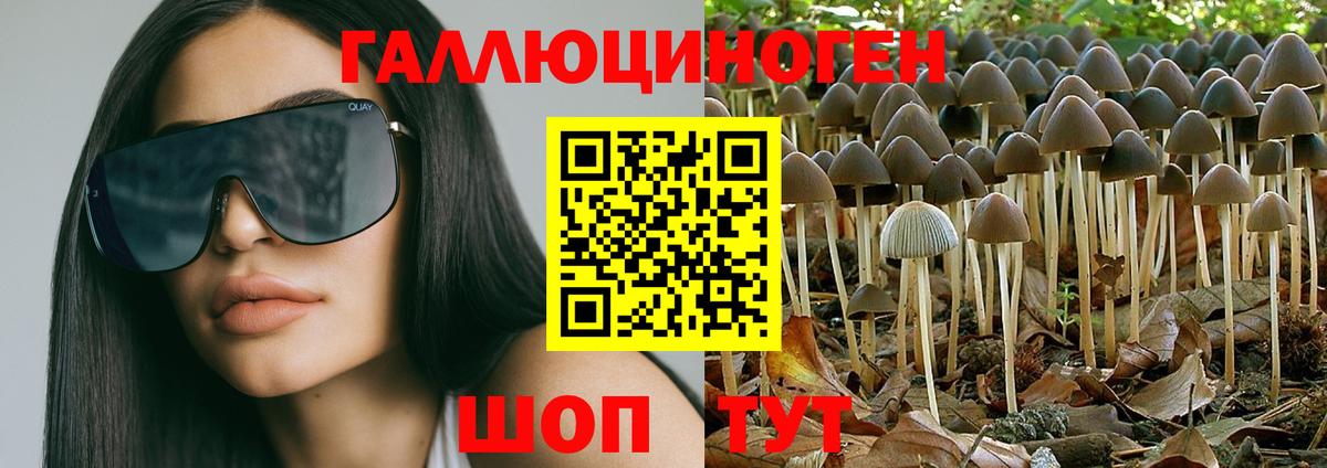 Галлюциногенные грибы GOLDEN TEACHER  Вход с VPN  Ликино-Дулёво 